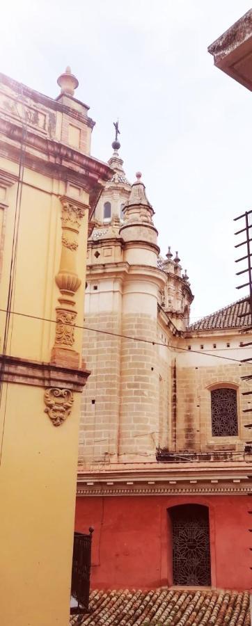 Atico Estudio Con Terraza - Centro Sevilla エクステリア 写真